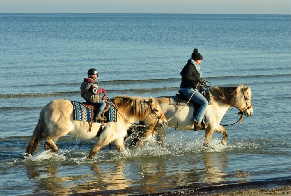 Strand mit Pferd und Hund