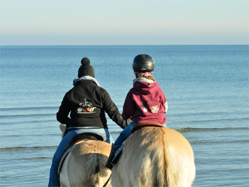Strand mit Pferd und Hund